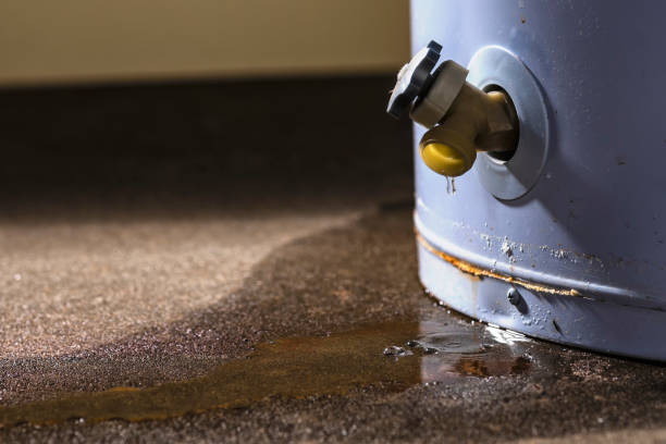 Best Water damage restoration near me  in Meridian, MS