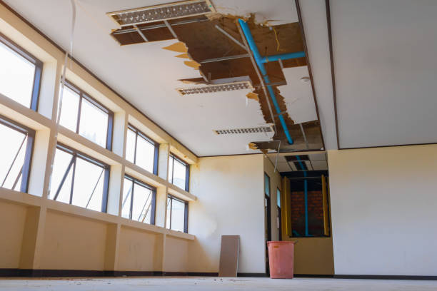 Best Local water damage restoration  in Meridian, MS