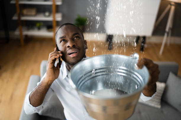 Best Carpet water damage restoration  in Meridian, MS