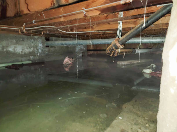 Best Ceiling water damage repair  in Meridian, MS