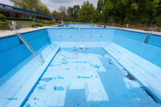 Best Basement water damage restoration  in Meridian, MS