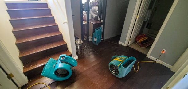 Best Flooded house restoration  in Meridian, MS