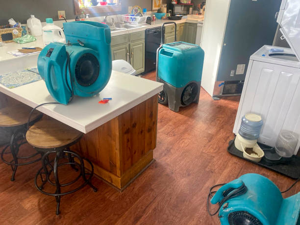 Water damage restoration mold remediation in MS