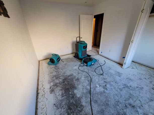 Best Water damage cleanup near me  in Meridian, MS
