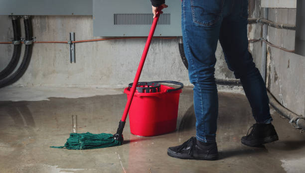 Best Water damage mitigation services  in Meridian, MS