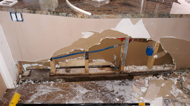 Best Flood restoration services  in Meridian, MS