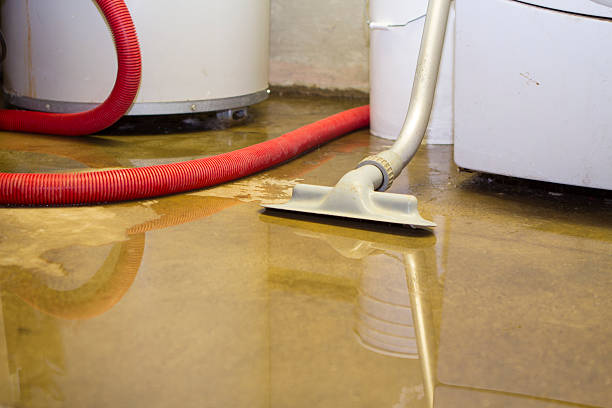 Best Water damage contractors near me  in Meridian, MS