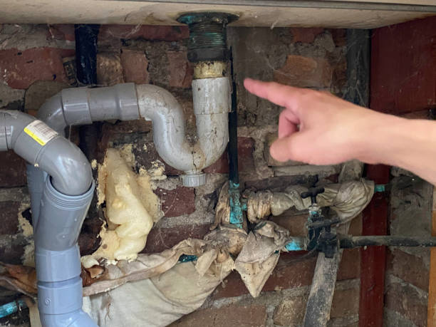 Best Carpet water damage restoration  in Meridian, MS