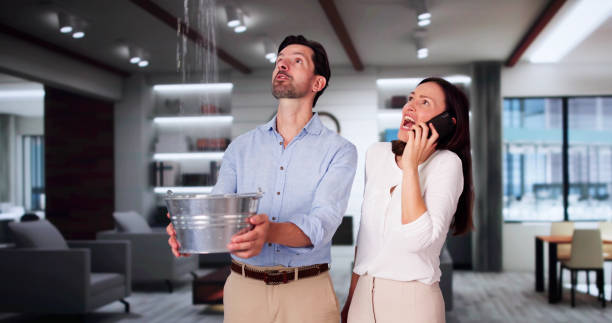 Best 24/7 water damage repair  in Meridian, MS